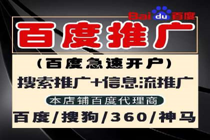 百度推广费用的投入与市场占有率提升的关联案例